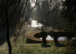 Photo of pools and trees on a dewy morning